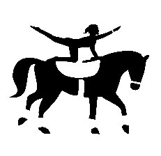 Pro Bono Logo - MorningStar Vaulters